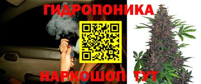 молекула духа Можайск