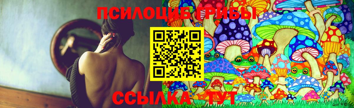 Галлюциногенные грибы Psilocybine cubensis Улан-Удэ