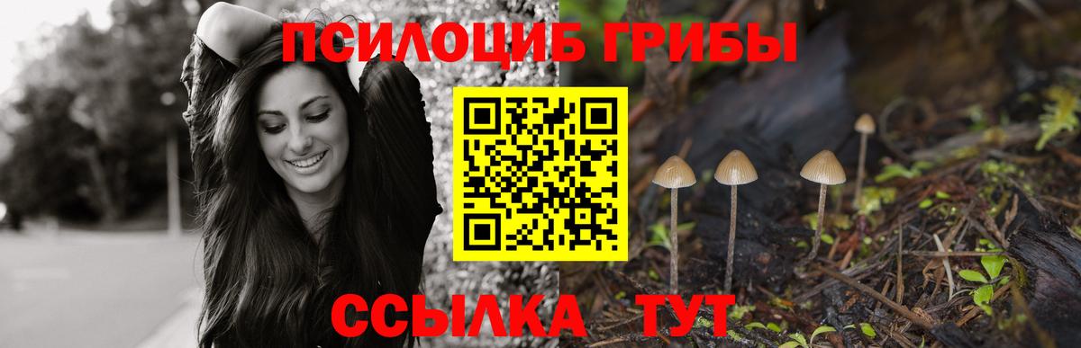 Улан-Удэ  Галлюциногенные грибы GOLDEN TEACHER  Вход с VPN 